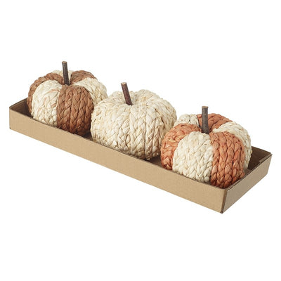 Pumpkin Set