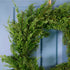 Real Touch Mountain Spruce Wreath