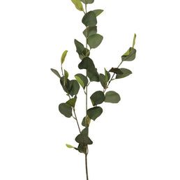 Eucalyptus Stem Nat Green