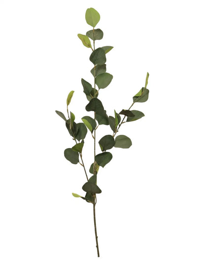 Eucalyptus Stem Nat Green