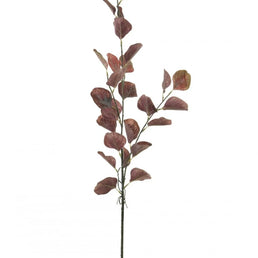 Eucalyptus Stem Burgundy