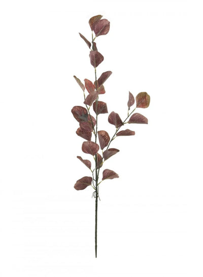 Eucalyptus Stem Burgundy