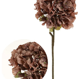 Dried Touch Ruffled Hydrangea Mocha