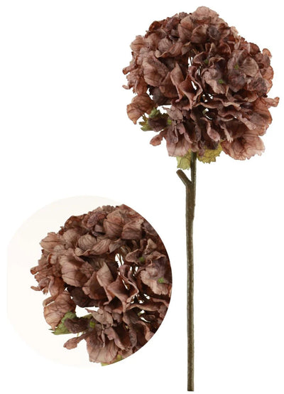 Dried Touch Ruffled Hydrangea Mocha