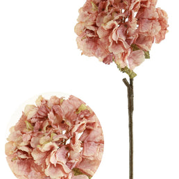 Dried Touch Ruffled Hydrangea Dusty Pink