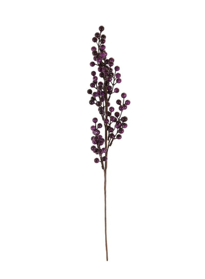 Ball Berry Pic Aubergine