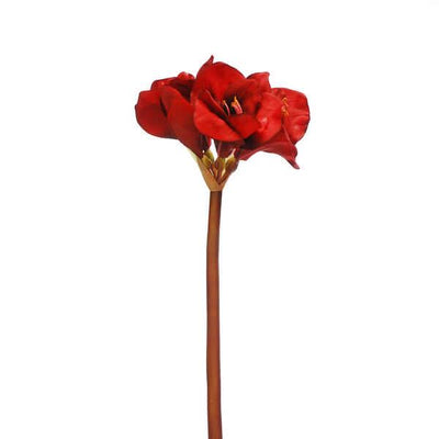 83cm red amaryllis stem