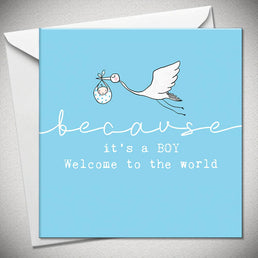 ...because it's a BOY -  welcome to world