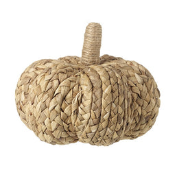 Natural Knitted finish Squash Decoration