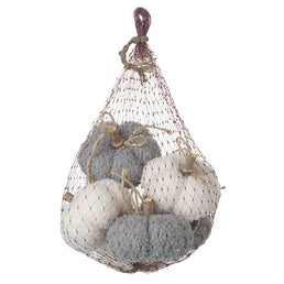 Bag of White and Grey Pumpkins