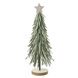 Tall Green Long Leaf Tree