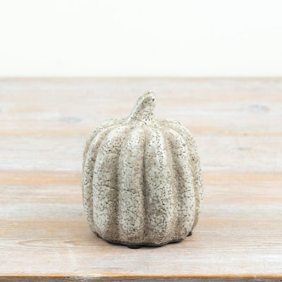 Decorative Autumn Pumpkin