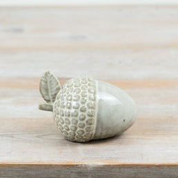 Acorn