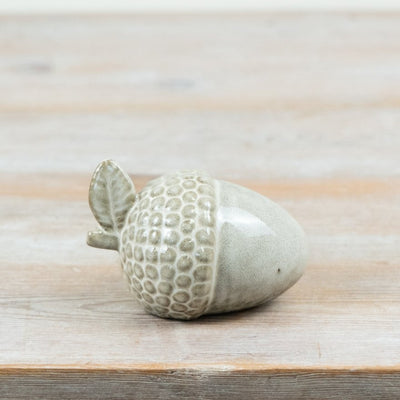 Acorn