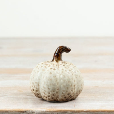 Cream Speckled Pumpkin